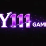 Y111 Game