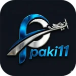 Paki11 Game